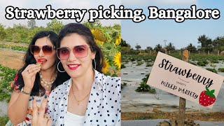 Day outing around Bengaluru | Fun activity with family | Strawberry picking Bangalore
