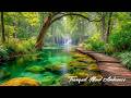 Deep Sleep Music for Stress Relief 🌿 Healing Piano, Calming Mind, Relaxing Ambience