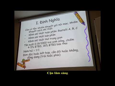 Video KÊNH NHĨ THẤT | TS. BS. Lê Kim Tuyến - youtube