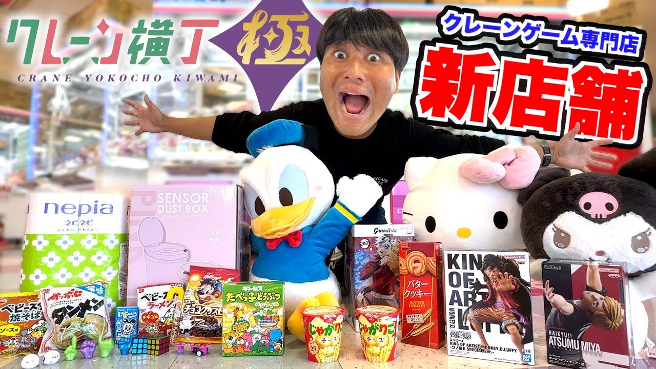 １万円で景品を大きくしていく対決をしたら大量ゲットで大変な事に！？ww【クレーンゲーム】