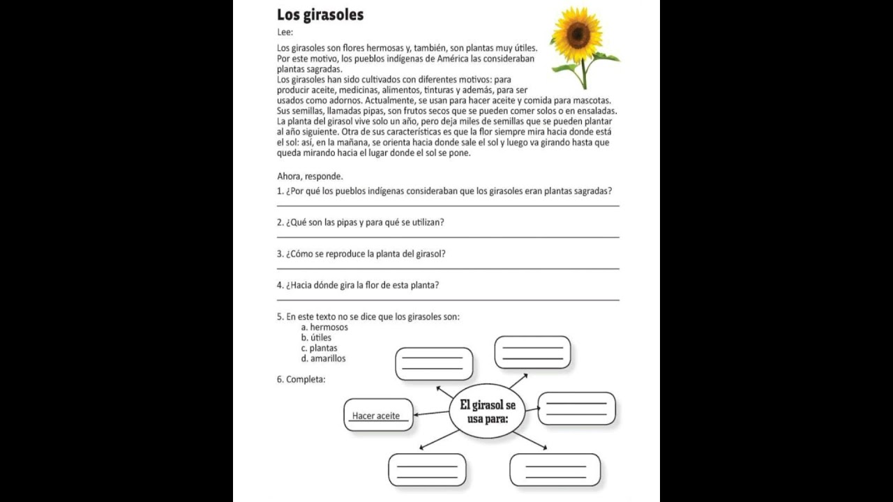 Actividad #3 Comprension Lectora 