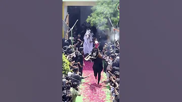 Zuljana Imam Hussain A S 9 Muharram Meerut 