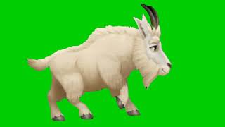 goat running green screen animation | Editor G