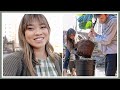 Repotting my fiddle leaf fig tree, spring cleaning our pond, and a couples photo shoot!