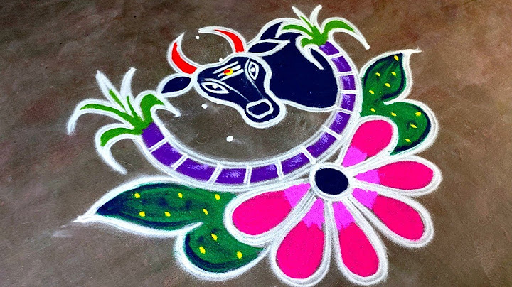 New maatu pongal kolam🌹/5*1 sankaranti Basavanna muggulu 🌹/Thaipongal maadu kolam 🌹/Amazing rangoli