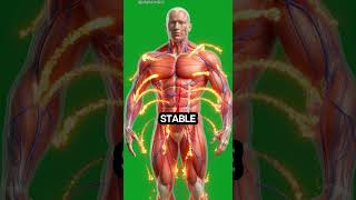 Apple Cider Vinegar: Fat-Loss Hack or Enamel-Destroying Trap?
