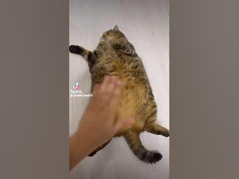 Вот он настоящий пельмень: - YouTube