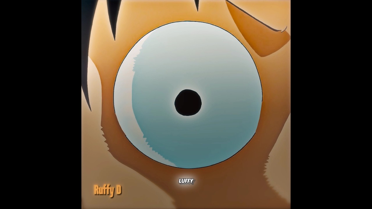 LUFFY SEE HIS FATHER FOR THE FIRST TIME