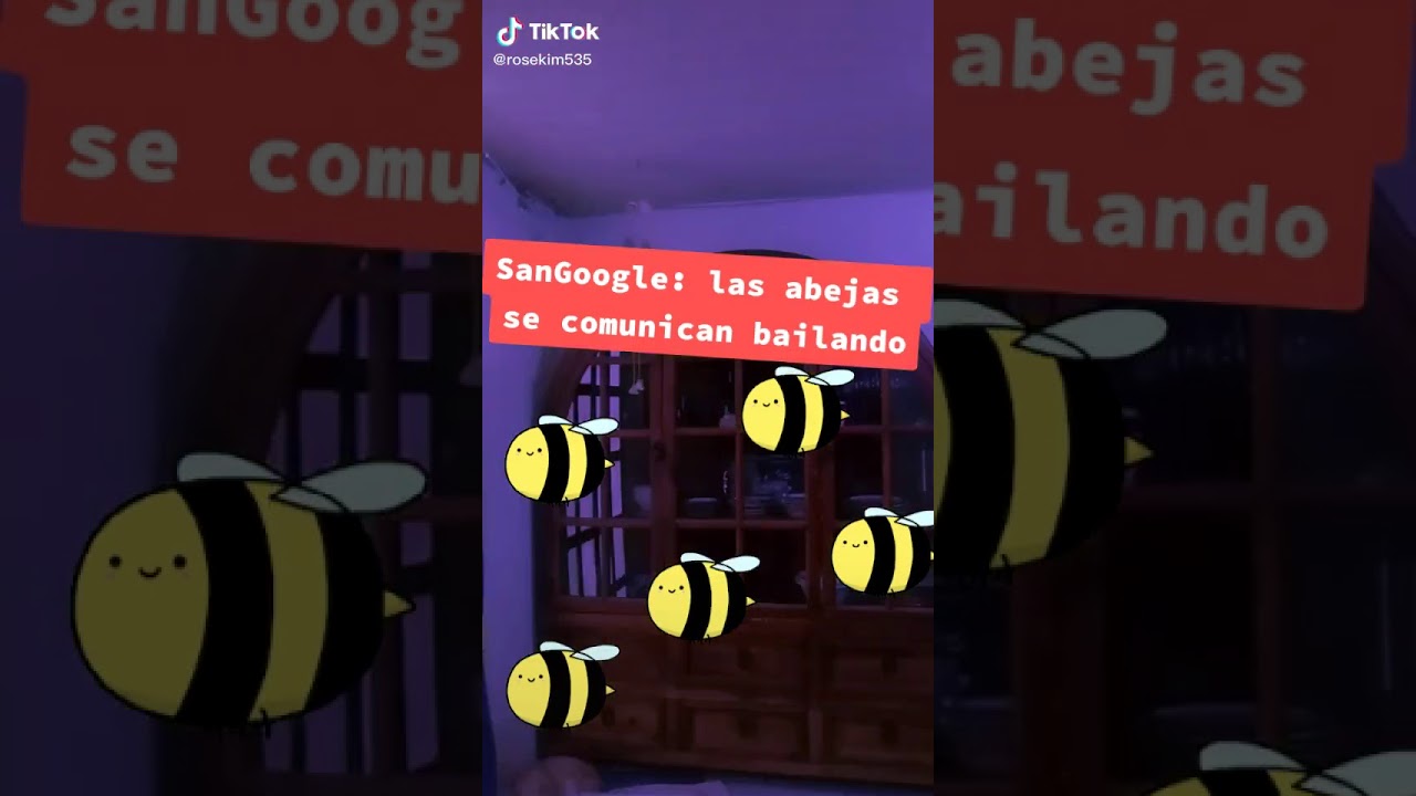 Abejas YouTube