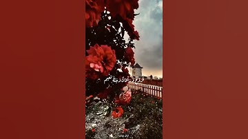 القارئ احمد النفيس حالات واتس اب قرأن كريم