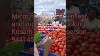 20/6/26 today vaddapalli tomato market price