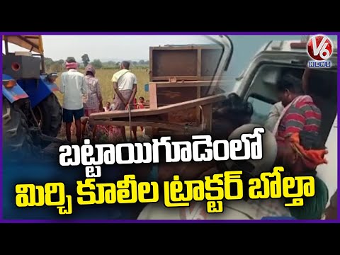 Tractor Of Mirchi Workers Overturned In Battaigudem | V6 News - V6NEWSTELUGU