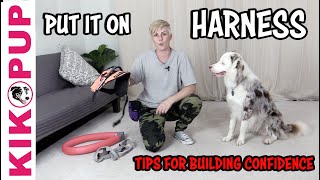 Put on your HARNESS - Service Dog Training by Dog Training by Kikopup 13,636 views 1 year ago 11 minutes, 52 seconds