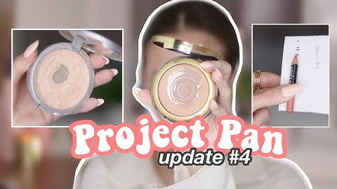 PROJECT PAN UPDATE: Using Up 22 Items in 2022!