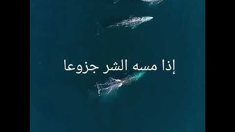 ان الإنسان خلق هلوعا () اذا مسه الشر جزوعا () _ سورة المعارج للقارئ - ماهر المعيقلي صوت جميل