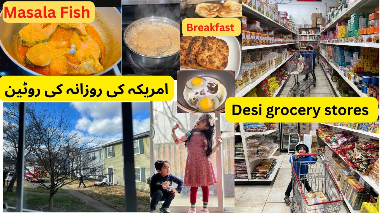 daily routine video/ Pakistani mom life in America/ Grocery shopping