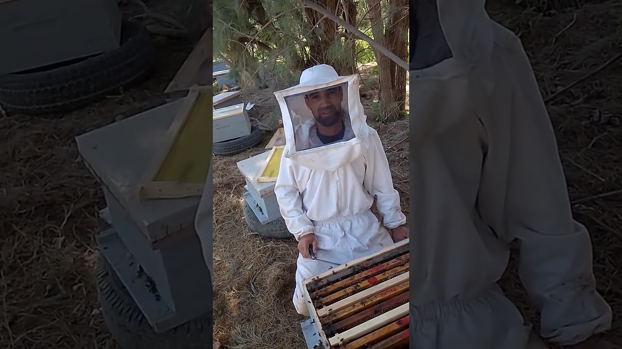 كيفية إضافة شمع الأساس