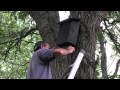 Bat House Attractant Lure Bat House Attractant Lure