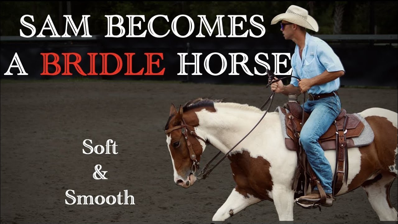 Barnard Horsemanship: Inspiring SOFTNESS In The Bridle - YouTube