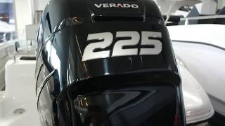 Occasion Ranieri international voyager 22 met mercury Verado F225 CONSOLEBOOT