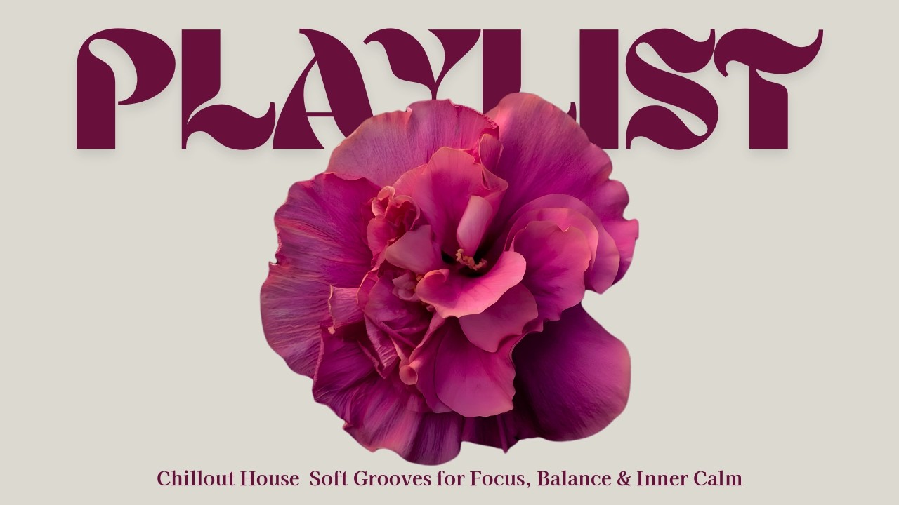 Refined Minimal Grooves ☕ Soft House for Study, Work & Steady Flow