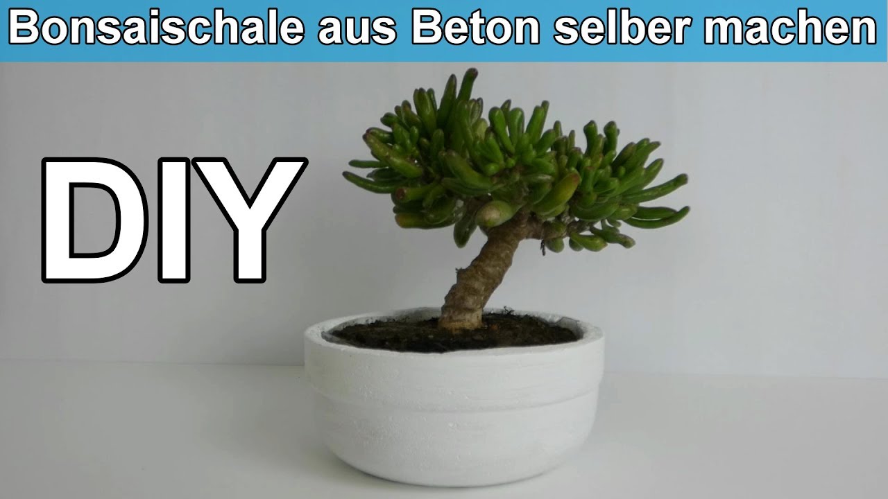 DIY - Bonsaischale aus Beton selber machen - Schale fr Bonsai selber bauen   Anleitung