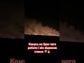 Пожар. 2025. #shorts #viralvideo #2025 #video #🔥 #пожар #ставок #животные