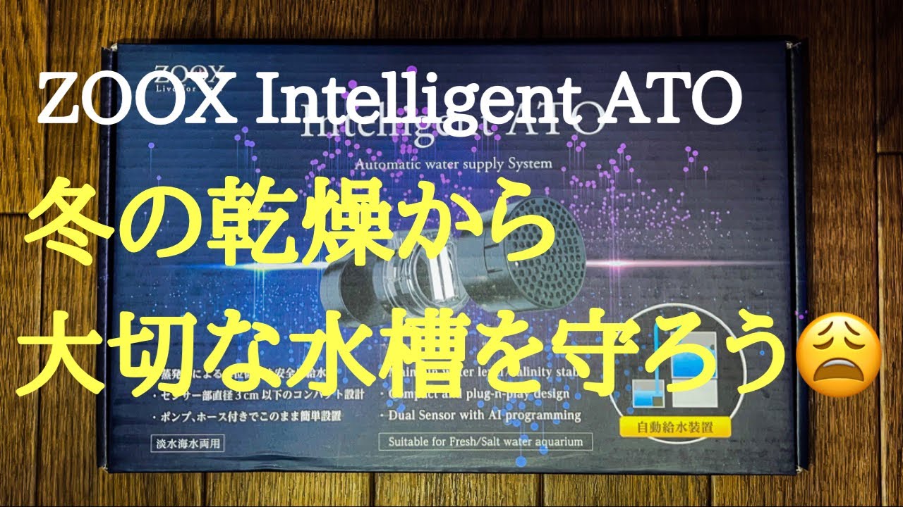 海水魚】自動給水装置 ZOOX Intelligent ATOを設置してみた - YouTube
