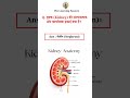 Nephron क्या होता है? | वृक्क की इकाई | NEET/Board Exam Most Important Qus.🔥@TheLearningEssence