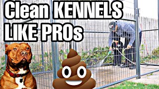 Sanitizing & Disinfecting kennels like professionals!