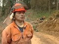 Proyecto MOFIM Cuadrillas Forestales Comunidad Mapuche