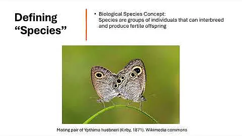 Speciation Explained | AP Biology Unit 7 & IB Biology Topic 10 | Dr. Bee’s Tutorials