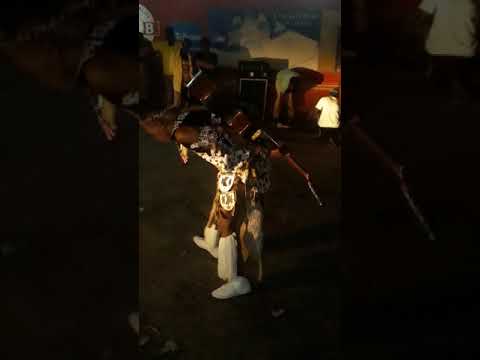 Inyonemhlophe ibalekangentambo KwaMnyandu