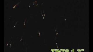 TW79-1,2.avi