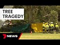 Young women sitting under tree crushed to death at north adelaide  7 news australia