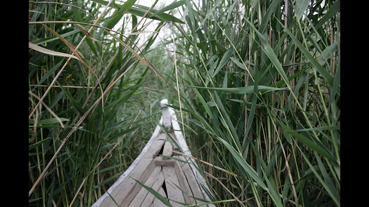 The Marshlands of Mesopotamea