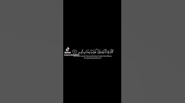 القارئ الشيخ ياسر الدوسري سورة لقمان #اكتب_شيء_تؤجر_عليه #اللهم_صل_وسلم_على_نبينا_محمد #غزة_تموت_جوع