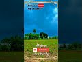 A beautiful view of Punjab P-16 #100kview #view #views #punjab #1000subscriber #unfrezzmyaccount