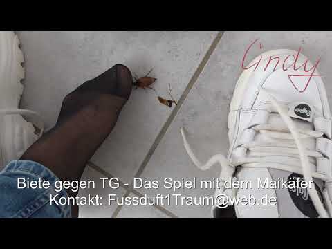 Crush Spiel Maikäfer gegen TG