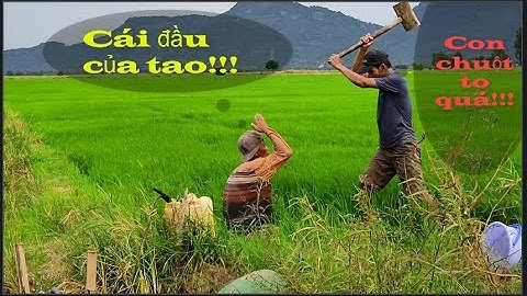 P8: Đỏ ra đồng tát cá mà cũng không yên với vợ chồng Tư Ú Nu và cái kết...