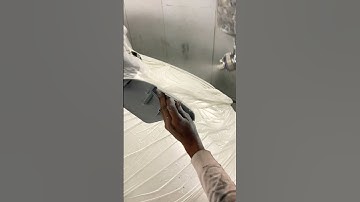 Side mirror cover painting #marutisuzuki #subscribe #like #customized #dinosaur #travel