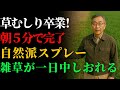 【草むしり卒業】朝5分置くだけで一日中しおれる"自然派スプレー"の作り方 | 雑草ブラシ | 芝生 | 除草剤 | 雑草対策