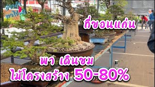 ชมไม้ โครงสร้าง 50-80% ที่่ขอนแก่น