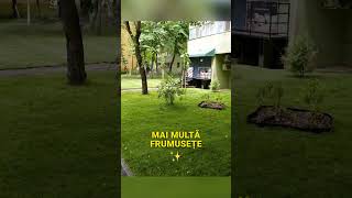 #gradina #comunitate #transformare #Sectorul2 #proiecte