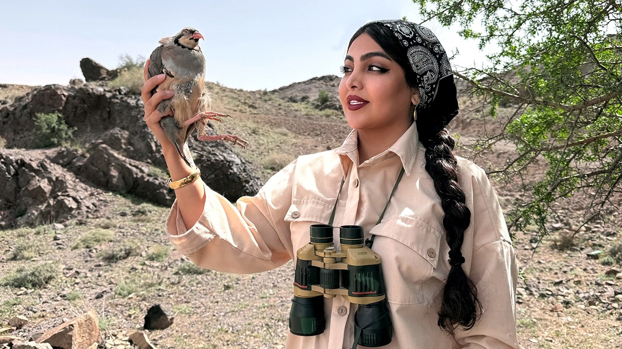 Village life: hunting quail with the trap method 🔥 A special day in the mountains 🏔