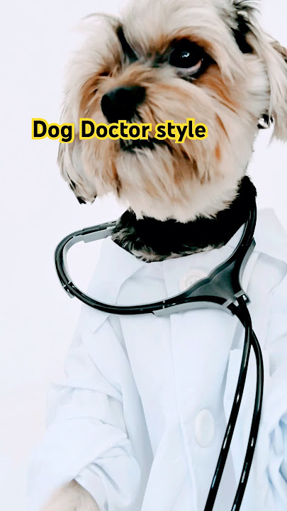 Doctor style Doggy #shorts @bhaiyachoudhary2635 @chodattayninh @chodattayninh @ravisagar88
