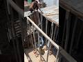 देसी जुगाड़ और गज़ब की इंजीनियरिंग! 🔥🏗️ #shorts #reels #construction #viral