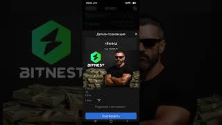 28.12.2025 - Bitnest Loop RESTART (РЕСТАРТ) (https://t.me/bitnest554477) #bitnest #bitnestloop