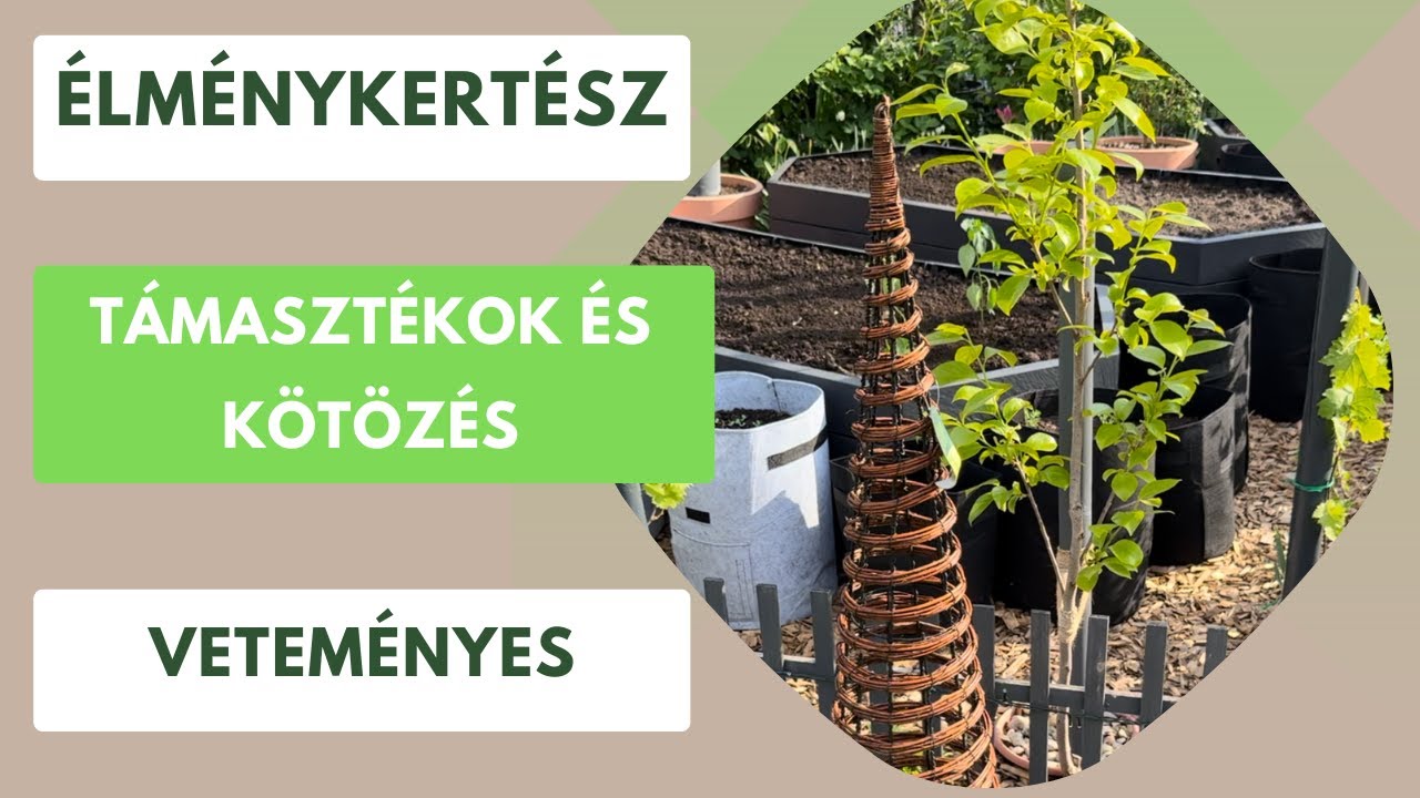 Felkészülés a szezonra a veteményesben