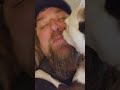 Funny dog licking face
